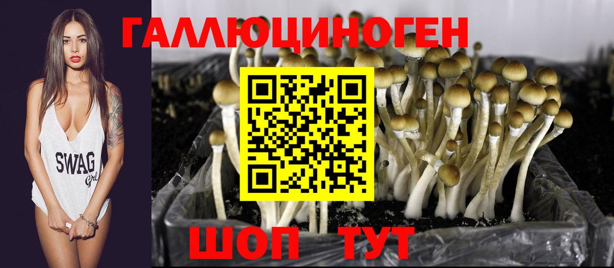 Родники  Галлюциногенные грибы Psilocybe  Вход с VPN 